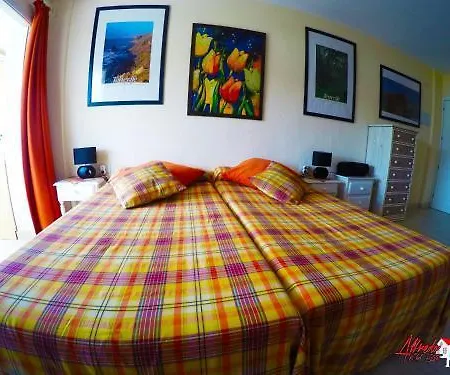 Apartment Edificio Arco *